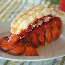 Lobster