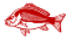 Fish Icon