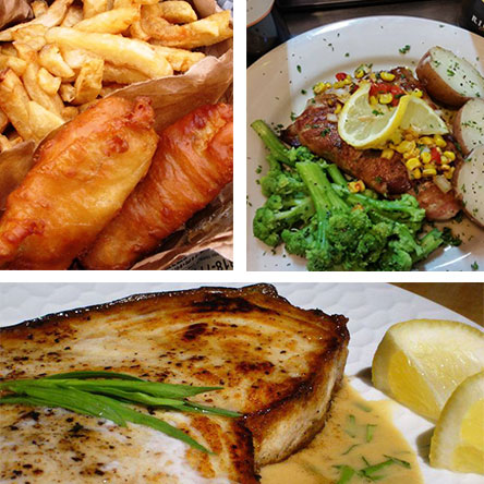 Menu Options